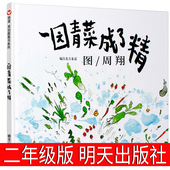 3岁绘本亲子共读书籍明天出版 社非注音信谊绘本 6岁图画故事书幼儿睡前故事书宝宝0 一园青菜成了精一年级二年级绘本周翔绘儿童3