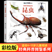 6岁幼儿童小中大班昆虫大百科书籍小学生一二三四年级科普大百科恐龙动物宇宙大百科 经典 科普图鉴系列 大开本 昆虫百科全书
