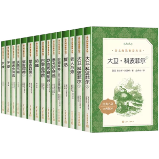 高中生推荐阅读全套15册人民文学出版社高一高二高三红楼梦老人与海巴黎圣母院堂吉诃德泰戈尔诗集大卫科波菲尔堂吉柯德课外阅读书