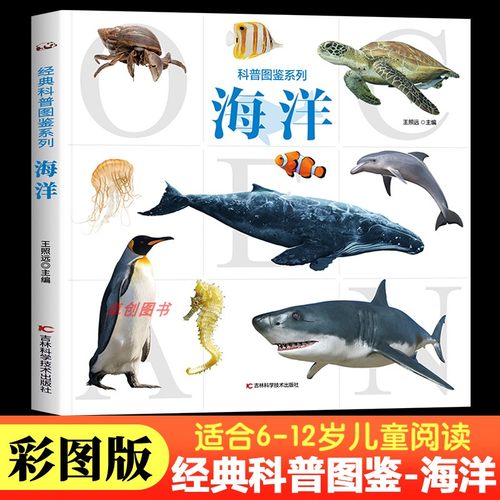 【大开本】海洋百科全书 经典科普图鉴系列 儿童揭秘海洋生物动物知识科普百科探秘海底世界趣味科普类读物6-12岁小学生课外阅读书