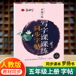 练字帖每日一练 五年级上册字帖人教版 小学5年级语文字帖同步课本同步临摹描红字帖带笔画笔顺控笔训练写字课课练罗杨字帖一笔好