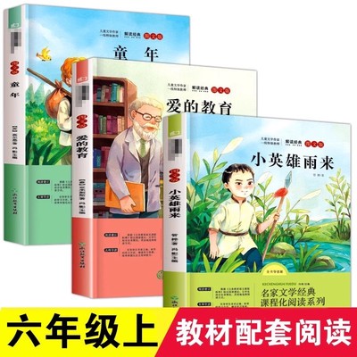 童年爱的教育小英雄雨来