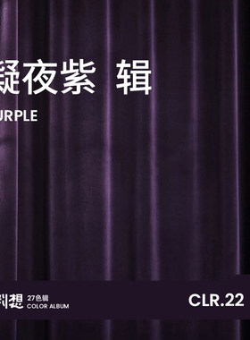 轻奢丝绒客厅卧室遮光窗帘布布