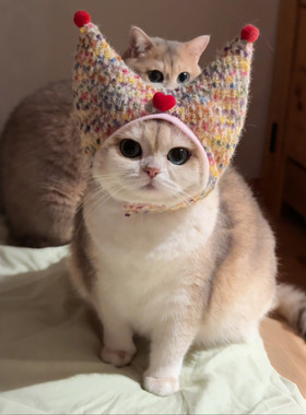 Mollywood猫来屋 猫咪耳罩头套针织面料毛绒头套宠物粉色