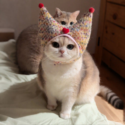 Mollywood猫来屋 猫咪耳罩头套针织面料毛绒头套宠物粉色