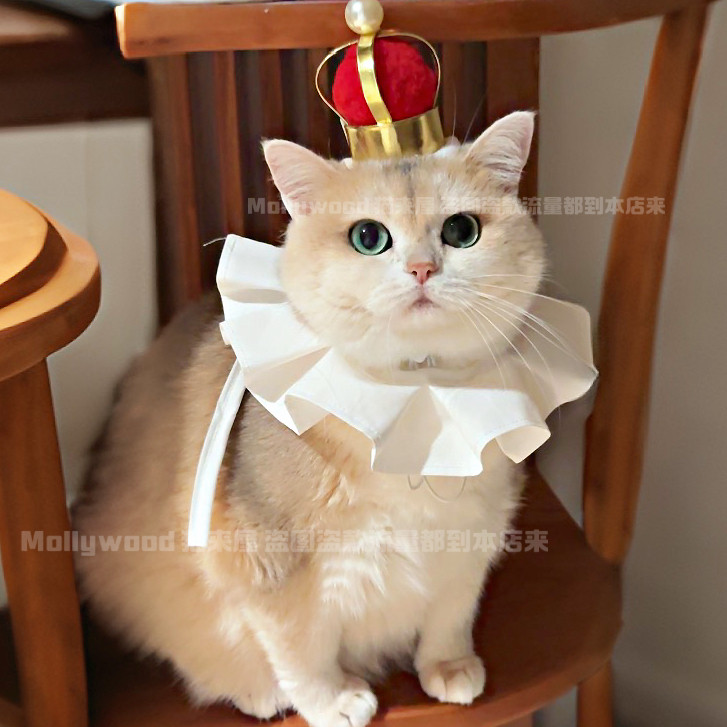 Mollywood 猫来屋 国王套装 宠物帽子头套 猫狗 猫咪围脖 皇冠帽