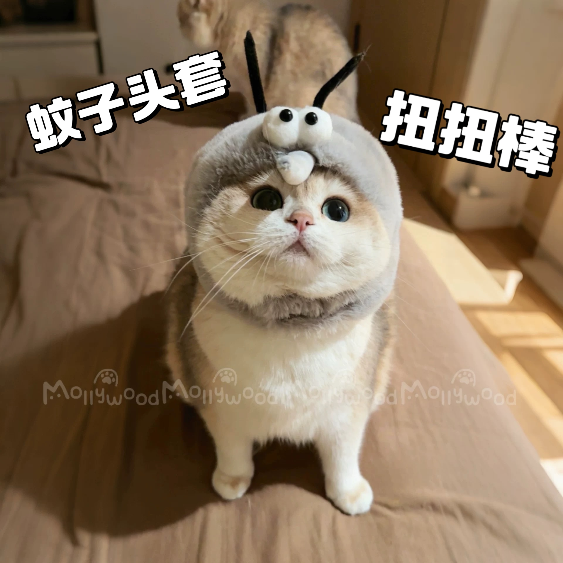 Mollywood猫来屋 蚊子头套 猫咪变装帽  猫咪头套 宠物原创毛绒