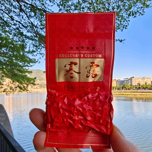 南崎铁观音寒露秋茶正品2025新茶浓香型兰花香耐泡回甘好醇厚茶叶