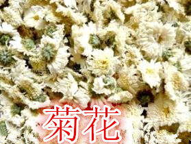 菊花 白菊花 杭白菊500克 有胎菊 杭菊两件包邮