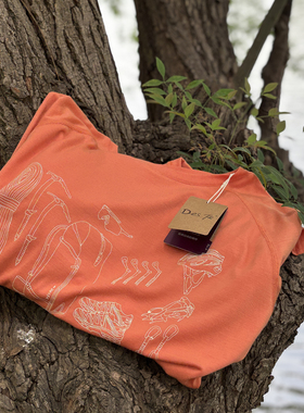 赛事级可机洗美利奴羊毛运动T恤徒步登山夏季男士印花速干短袖t