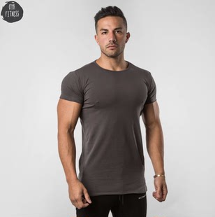 男健身休閑短袖 ALPHALETE FISHTAIL SHIRT T恤