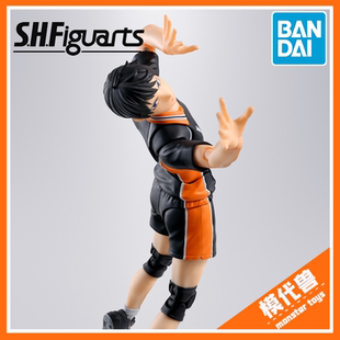 预订 订金 万代 SHF 影山飞雄 排球少年 小排球 可动成品