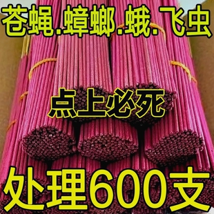 600支 蚊香蝇香强力蚊蝇香王特效强力苍蝇药香薰蚊子灭蝇灭蚊