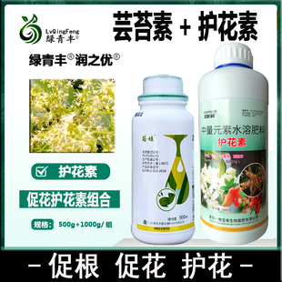 流体硼促花护花素水溶肥料组合草莓辣椒龙眼荔枝防干花落花叶面肥