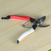 花剪子 果枝修枝剪 花卉修剪 树剪 粗枝剪 植物剪刀 仲老师月季