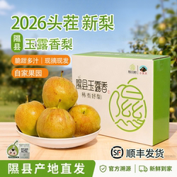 正宗山西隰县玉露香梨应季整箱水果新鲜包邮送礼8斤隰县发货皮薄