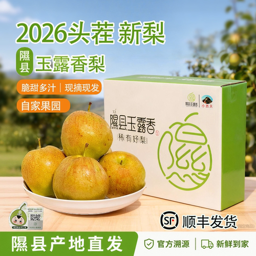 玉露香梨新鲜采摘皮薄肉厚