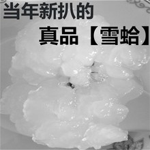 正品 东北林蛙 蛤蟆油长白山正品 雪蛤干 林蛙油雪蛤油 林蛙油