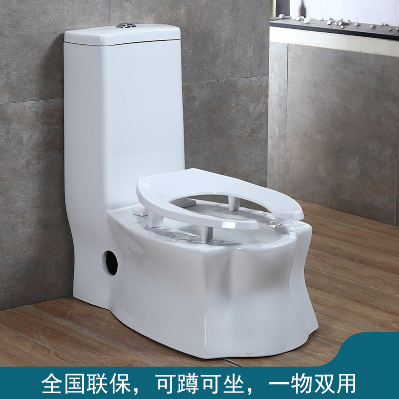 蹲坐两用一体马桶超漩虹吸坐便器节水静音家用抽水防臭双用坐便器