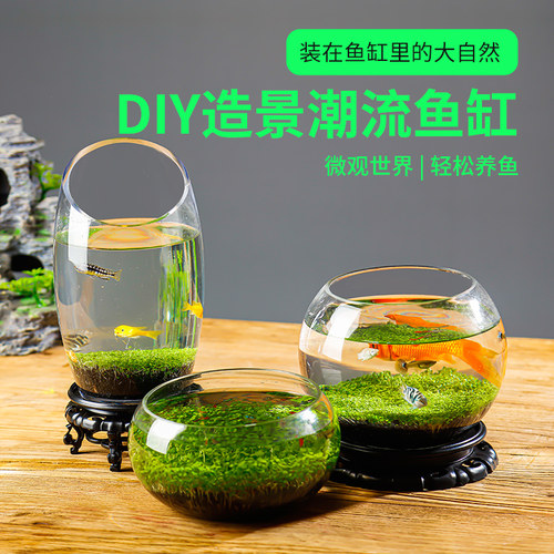 生态鱼瓶价格 多少钱 生态鱼瓶价格 多少钱
