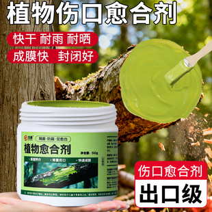 植物树木伤口愈合剂盆景果树嫁接月季兰花树枝剪枝树桩皮切口修复