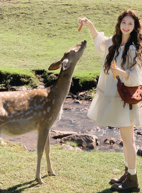 2025年夏新款云南新疆草原旅游穿搭连衣裙设计感小众泡泡袖娃娃裙