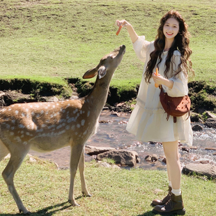 2025年夏新款云南新疆草原旅游穿搭连衣裙设计感小众泡泡袖娃娃裙