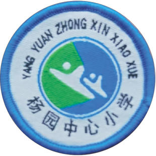 上海浦东新区杨园中心小学校服春秋运动装夏季短袖班服蓝色T恤