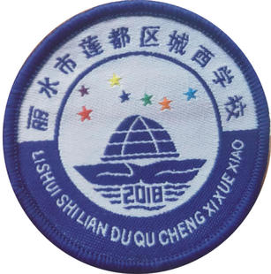 丽水莲都区城西学校校服小学生春秋运动装夏班短袖T恤冬季冲锋衣