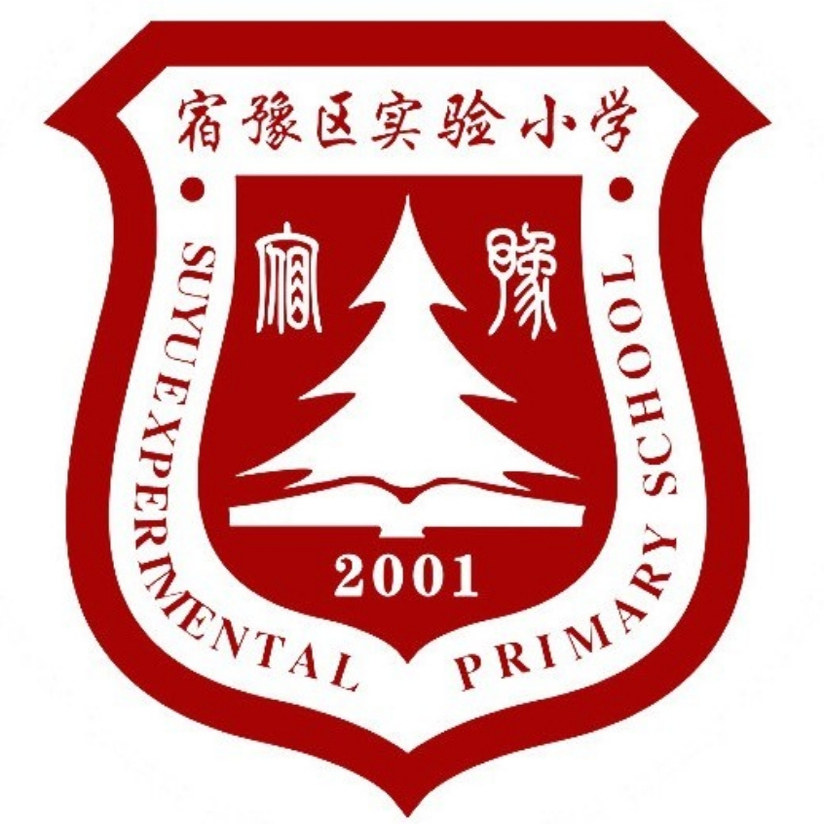 宿迁实验小学校服礼服春秋运动装