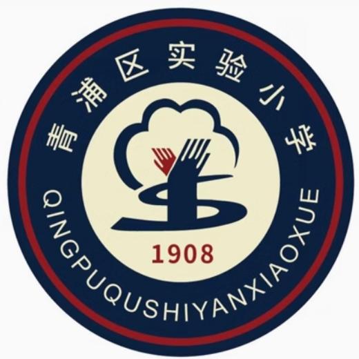 校服上海青浦区实验小学运动服