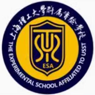上海理工大学附属普陀实验学校校服中小学生春秋运动装夏班服T恤