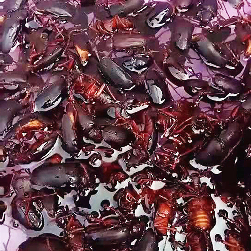 山水牛250克公沂蒙山新鲜冷冻栓栓牛公山山牛  荒野昆虫 公山虫牛