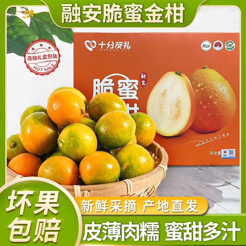 融安脆蜜金桔过年送礼佳品