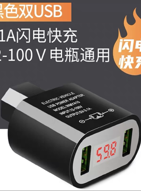 手机充电器12v/96v通用车载佳芯