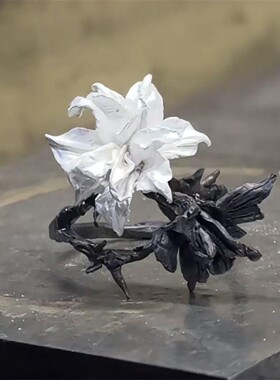 「黑白曼陀罗」双相情感障碍戒指法式简约百搭高级感指环食指戒