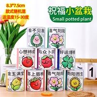 Благословение 3 горшечных растений