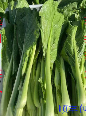 连州菜心新鲜现摘现发广东迟菜心农家自种当季时令蔬菜顺丰包邮