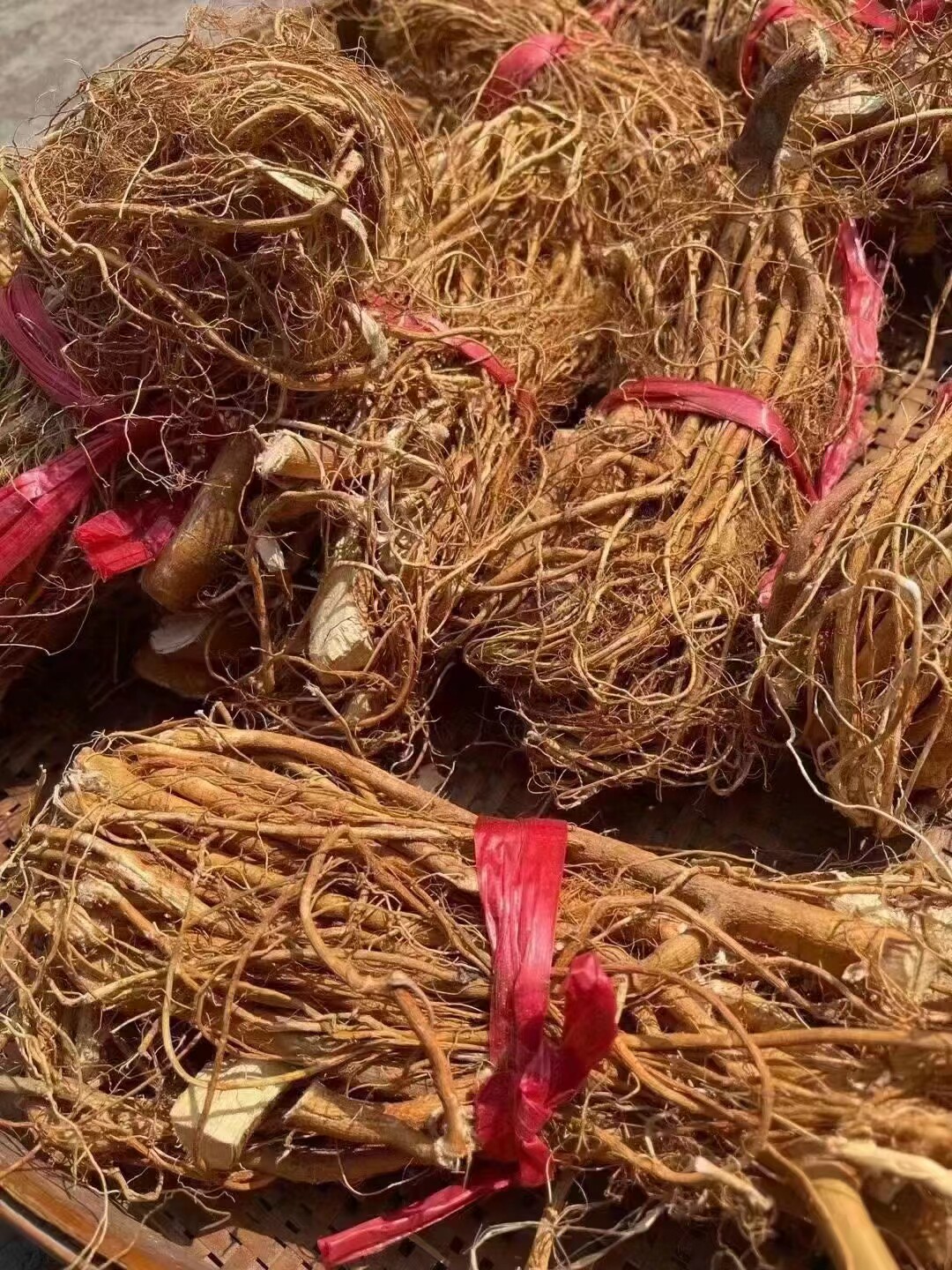 连州特产晒干野生五指牛奶根广东