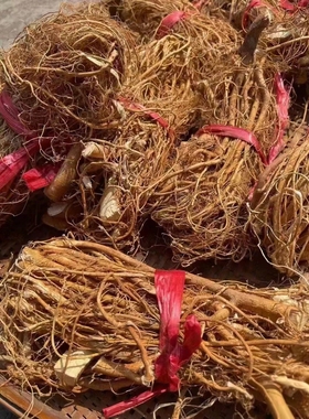 连州特产晒干野生五指毛桃 野生五指牛奶根 广东煲鸡汤料干货包邮