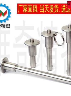 BLPB 插销 快卸销 快锁插销 球头锁紧销 VCN110 直径10 全不锈钢