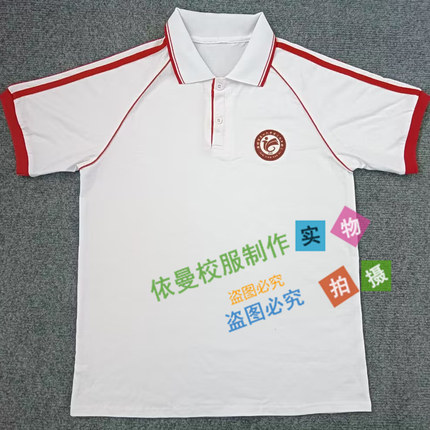 河北廊坊十六中校服短袖同款夏季纯棉男女休闲舒适吸汗polo领上衣