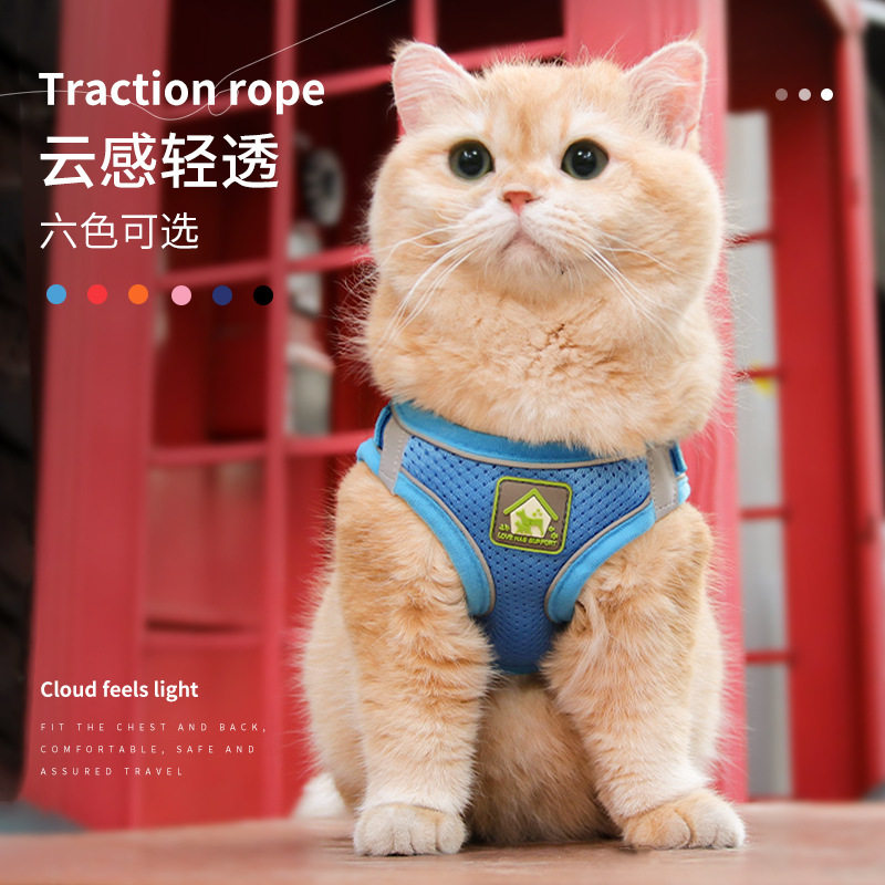 福宝反光胸背带遛猫牵引绳遛狗绳