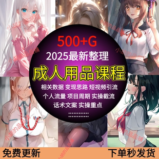 月入5w 蓝海赛道渠道引流 视频课程 整理 ****25年最新