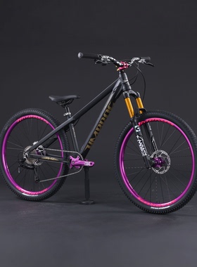 哈曼兄弟AM2气叉版铝合金油刹全地形青少年动作车新款减震防摔