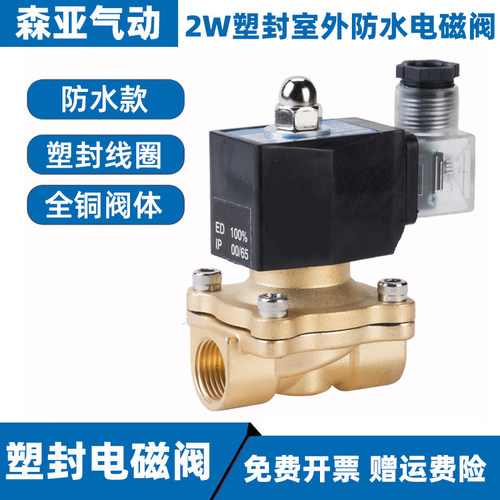 室外防水电磁阀水气阀4分220V24V