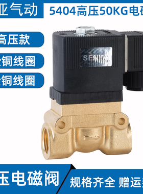 高压电磁阀SY5404-04 2分4分6分1寸吹瓶机气阀船用高压阀220V 24v