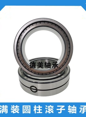 满装圆柱滚子轴承SL045010 045011 045012 045013 045014 045015