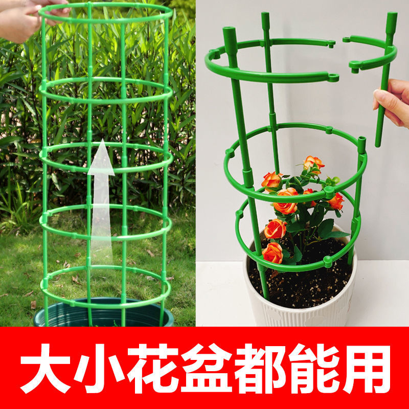 花架子室内家用爬藤架火龙果月季蟹爪兰绿萝太阳花植物爬藤支撑杆