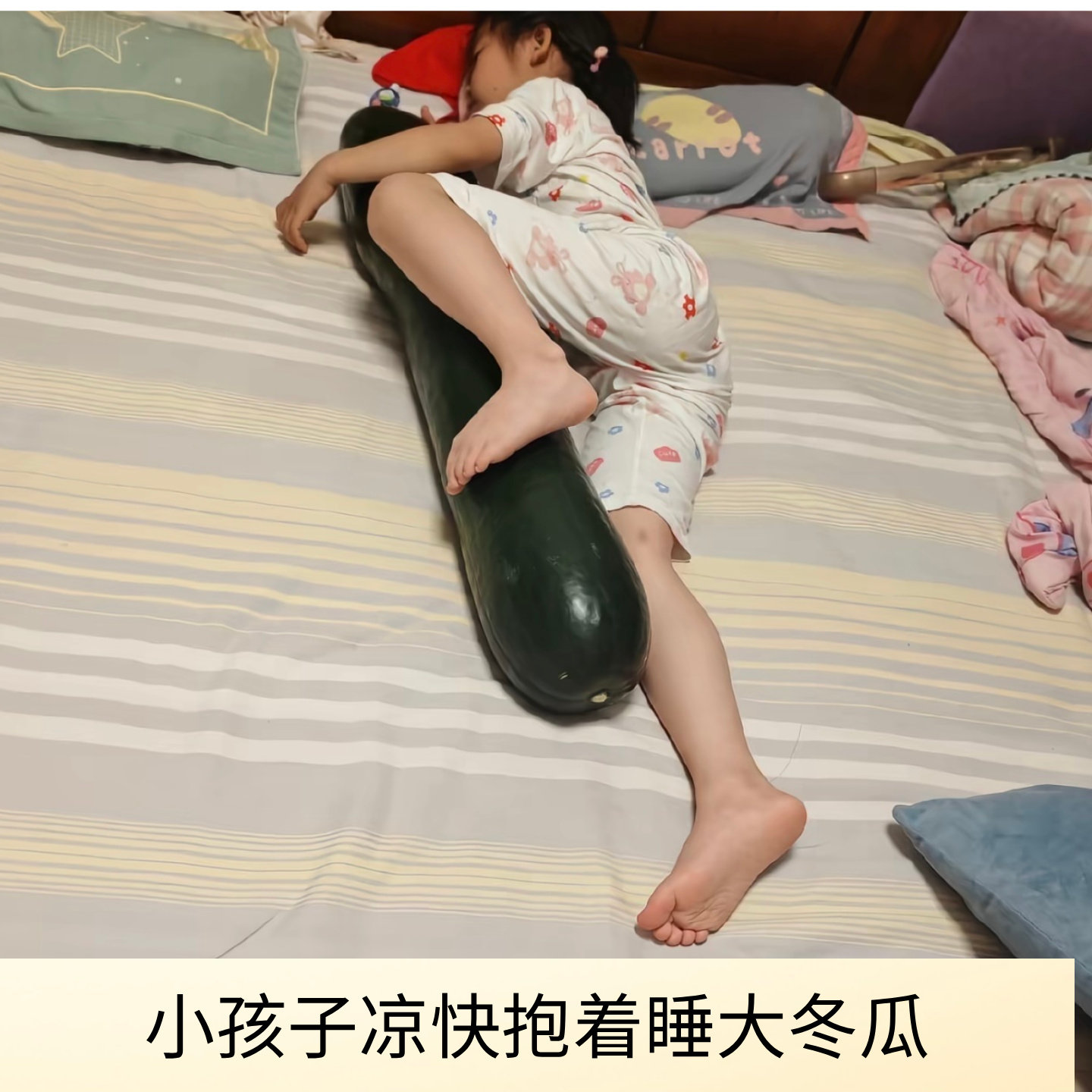 真大冬瓜抱着睡觉清凉消暑光滑降温舒服新鲜真正超大青皮冬瓜空调